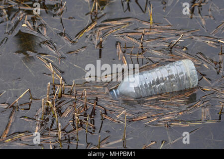 A discarded plastic drink bottle floating on the surface of a pond. Stock Photo