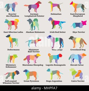 Vector set of colorful mosaic isolated different breeds dogs silhouettes on grey background. Part 8 Stock Vector