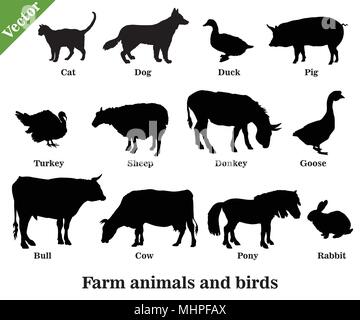 Set of vector farm animals and birds ( Dog, Cat, Cow, Turkey, Donkey, Pig, Rabbit, Goose,  Sheep, Duck, Bull) silhouettes in black color isolated on w Stock Vector
