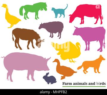Set of colorful vector farm animals and birds ( Dog, Cat, Cow, Turkey, Donkey, Pig, Rabbit, Goose,  Sheep, Duck, Bull) silhouettes in black color isol Stock Vector