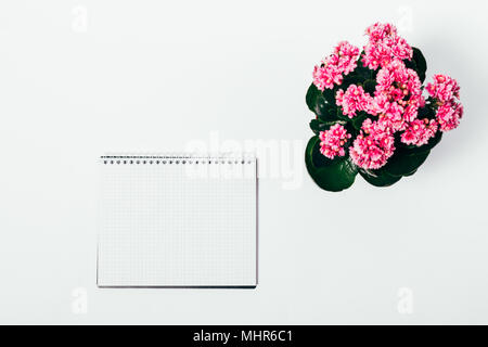 Pink flower and an open blank notebook on a white table top view Stock Photo