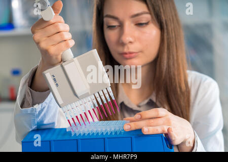 student woman with multi pipette and other PCR items in microbiological / genetic laboratory Stock Photo