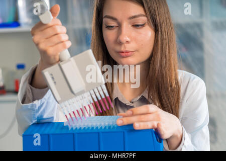 student woman with multi pipette and other PCR items in microbiological / genetic laboratory Stock Photo