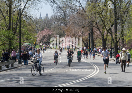 Activity in Central Park, NYC, USA Stock Photo