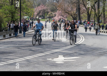 Activity in Central Park, NYC, USA Stock Photo