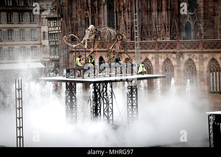 Workers seen moving Jacques Rival’s installation 'Mammuthus Volantes' (Flying Mammoth) next to the water fountains in Cathedral Square in Strasbourg during the 'Industrie Magnifique' festival. The complete mammoth skeleton was acquired at an auction by the company ‘Soprema’ and its size are 3.4 metres in length, 5.4 metres in height and its weighs is around 1400 kilograms. Stock Photo