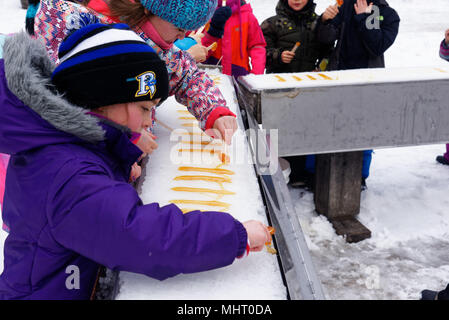 Children eating maple syrup taffy poured on ice at a sugar shack in Quebec, Canada Stock Photo