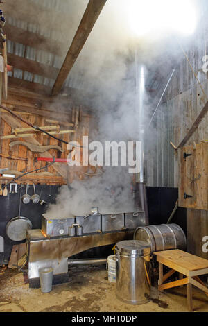 A maple syrup boiler evaporating the maple sap to make maple syrup inside a sugar shack in Quebec, Canada Stock Photo