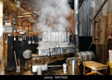 A maple syrup boiler evaporating the maple sap to make maple syrup inside a sugar shack in Quebec, Canada Stock Photo