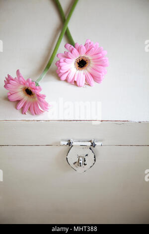 Flower on small chest Stock Photo