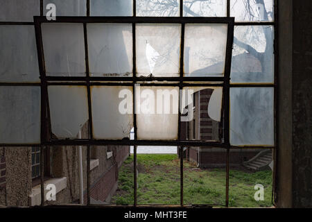broken windows glass in ellis island abandoned psychiatric hospital interior rooms view Stock Photo