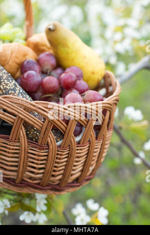 appetite, healthy nutrition, harvesting concept. clean fresh fruits are shining in the soft light of spring sun, placed among balery goods in a lovely wicker basket Stock Photo
