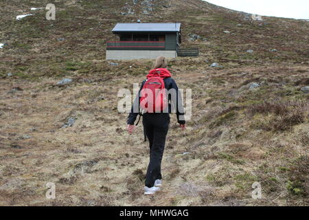 Enjoying a hike on a mountain in Norway. Stock Photo