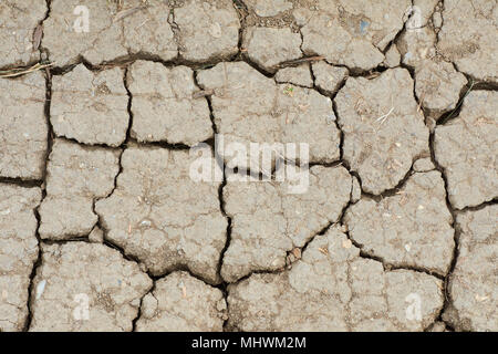 Detail of cracked dry soil on a hot summer day Stock Photo
