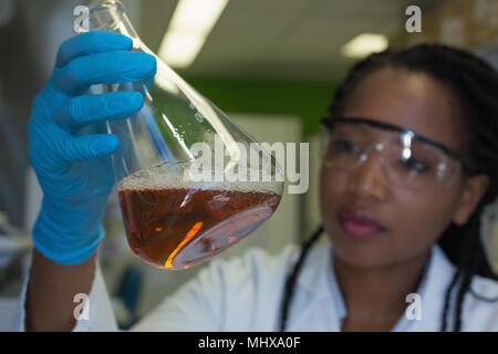 Scientist checking a solution in conical flask Stock Photo