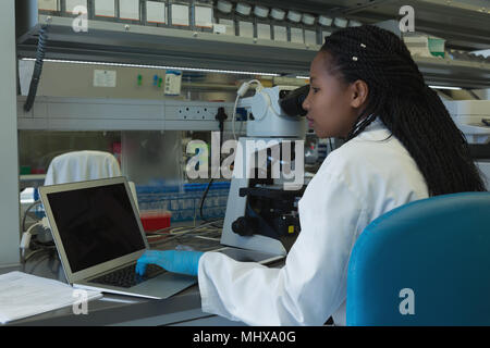 Scientist using laptop at desk Stock Photo