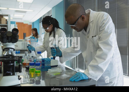 Scientists doing experiment in lab Stock Photo