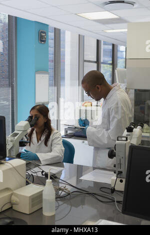 Scientists doing experiment in lab Stock Photo