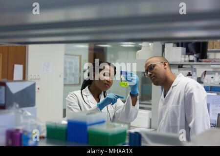 Scientists checking a solution in bottle Stock Photo