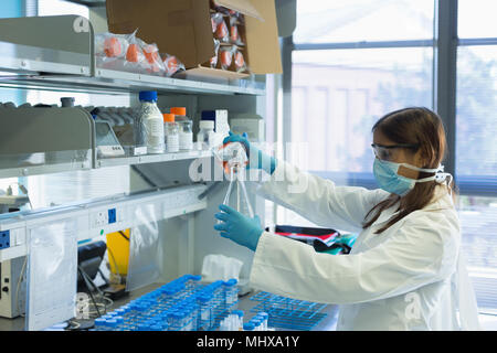 Scientist pouring chemical solution on conical flask from bottle Stock Photo