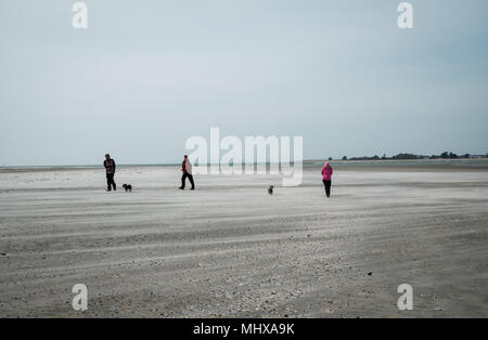 Windy day on the Hoe at West Wittering Sussex three walkers two dogs windswept beach sunny day brisk blowing sand Stock Photo