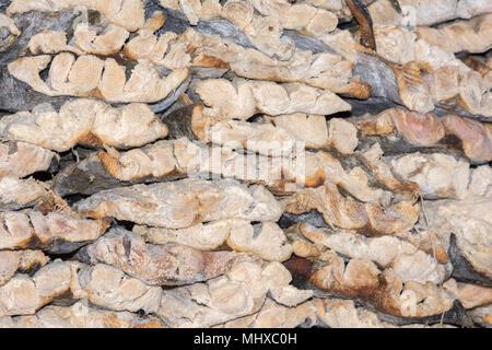 Male india fish market: dried fish in maldives asia Stock Photo