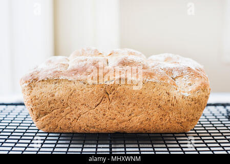 Freshly baked loaf of whole wheat bread on cooling rack Stock Photo