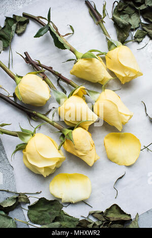 Stalks of rose on table Stock Photo