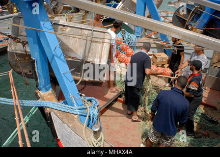 Anzio, Rome. Fishermen arrange nets on port quays. Italy. Stock Photo