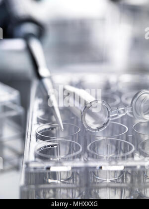 Pipette used to deliver samples sitting on multi well plates used in laboratory experiments Stock Photo