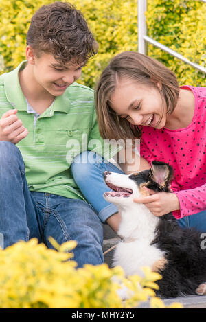 Teen boy and girl playing with puppy Stock Photo