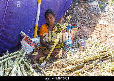 PUDUCHERY, PONDICHERY, TAMIL NADU, INDIA - March circa, 2018. Unidentified woman cutting preparing a sugar cane before extraction Stock Photo