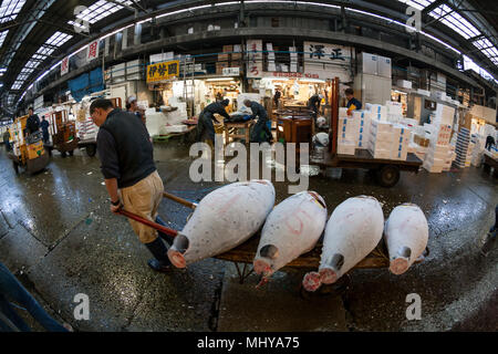 Tsukiji fish market in 2009. Frozen tuna fish on sale at the world's largest fish market. Stock Photo