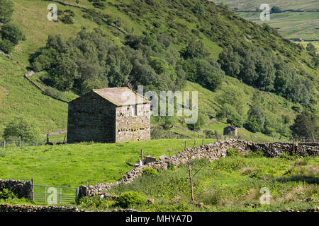 Stone barn near Thwaite in Upper Swaledale in the Yorkshire Dales National Park Muker Richmondshire North Yorkshire England Stock Photo