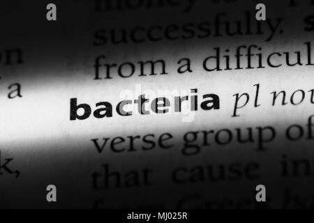 bacteria word in a dictionary. bacteria concept. Stock Photo