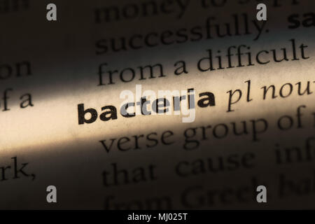 bacteria word in a dictionary. bacteria concept. Stock Photo