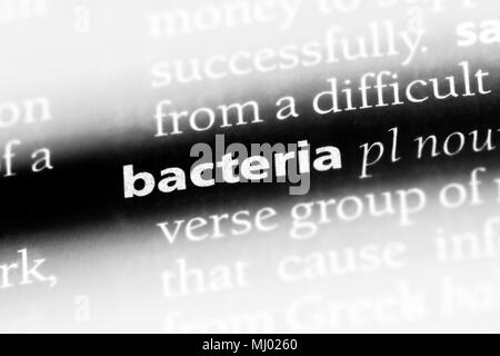 bacteria word in a dictionary. bacteria concept. Stock Photo