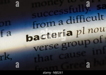 bacteria word in a dictionary. bacteria concept. Stock Photo