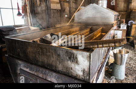 steam rising off of boiler evaporating  maple tree sap to make maple syrup in sugar house, an early spring tradition in Vermont Stock Photo
