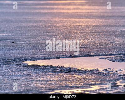 Shiny cold ice pieces on clear ice floe. Structure of natural ice in selective focus photograph.  Vivid colors of polar sunset. Stock Photo