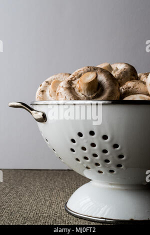 Raw Mushrooms in colander white backround copy space. organic food Stock Photo