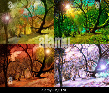 FOUR SEASONS CONCEPT: Magic of the Forest Stock Photo