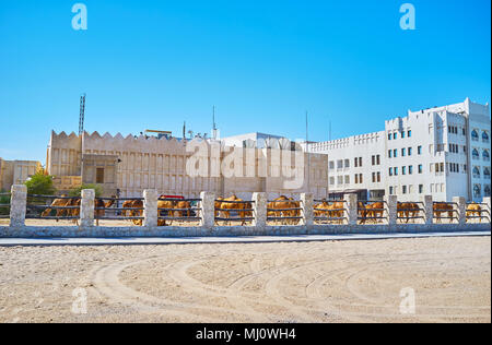 The camel market is located in historical Souq Waqif district, animals walk on the sandy area, separated with fence, Doha, Qatar. Stock Photo