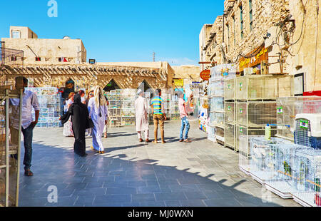 DOHA, QATAR - FEBRUARY 13, 2018: Pet market of old Souq Waqif is noisy and crowded place with multiple stalls and hundreds of cages with different dom Stock Photo