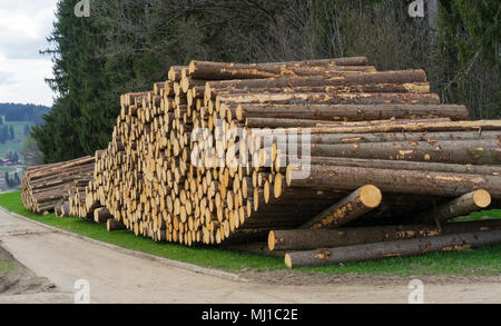 timber harvesting in the bavarian alpes,Germany