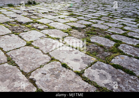 Surface of the old paving stone road with sprouted moss between the stones, natural texture Stock Photo
