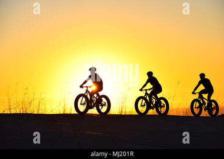 Three cyclists on fatbikes backlit at sunset, Plaat Beach, Nature Reserve, De Kelders, Gansbaai, Western Cape, South Africa Stock Photo