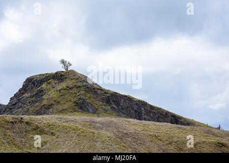 Tree on top of the rocky hill and blue, cloudy sky .Peak District National Park ,Derbyshire Uk.Stunning british countryside landscape in spring. Stock Photo