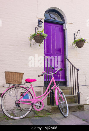 Bright pink woman  bicycle with rear wicker basket parked in front of a violet wooden front door of a classic Victorian British style house Stock Photo