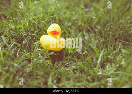 A cute yellow rubber duck floating toy lying on green grass of a garden. Vintage retro matte style Stock Photo